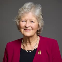 Baroness Hollins – Baroness Hollins, 2029 General Election Candidate