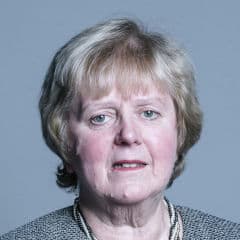 Baroness Humphreys – Baroness Humphreys, 2029 General Election Candidate