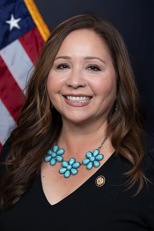 Adelita S. Grijalva – Representative from Arizona (District 7), 2028 Presidential Election 2028 Candidate