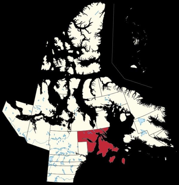 Aivilik – MLA for Solomon Malliki, 2029 Federal Election Candidate