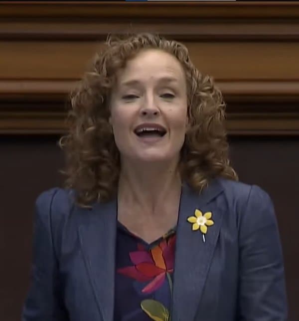 Alexa Gilmour – MPP for Parkdale—High Park, 2029 Federal Election Candidate