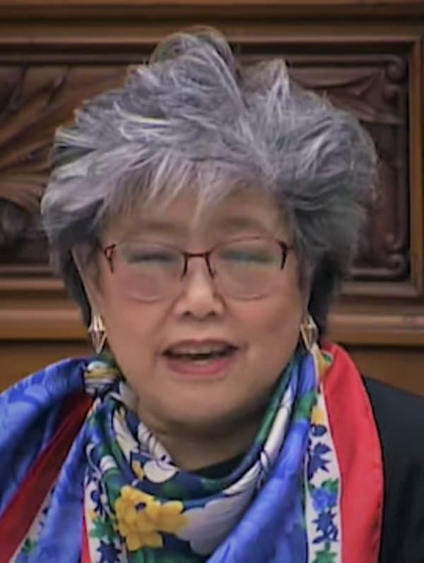 Daisy Wai – MPP for Richmond Hill, 2029 Federal Election Candidate