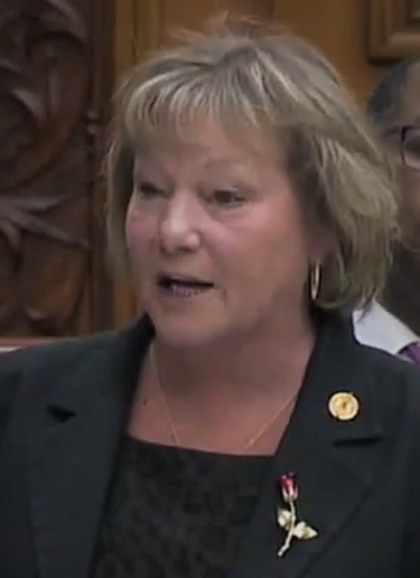 Jennie Stevens – MPP for St. Catharines, 2029 Federal Election Candidate