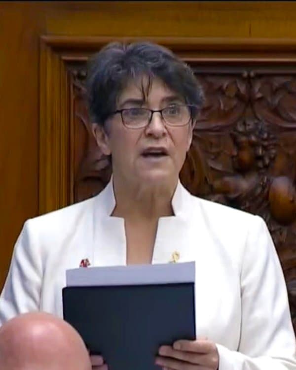 Lise Vaugeois – MPP for Thunder Bay—Superior North, 2029 Federal Election Candidate