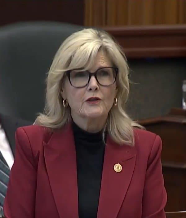 Stephanie Smyth – MPP for Toronto—St. Paul's, 2029 Federal Election Candidate